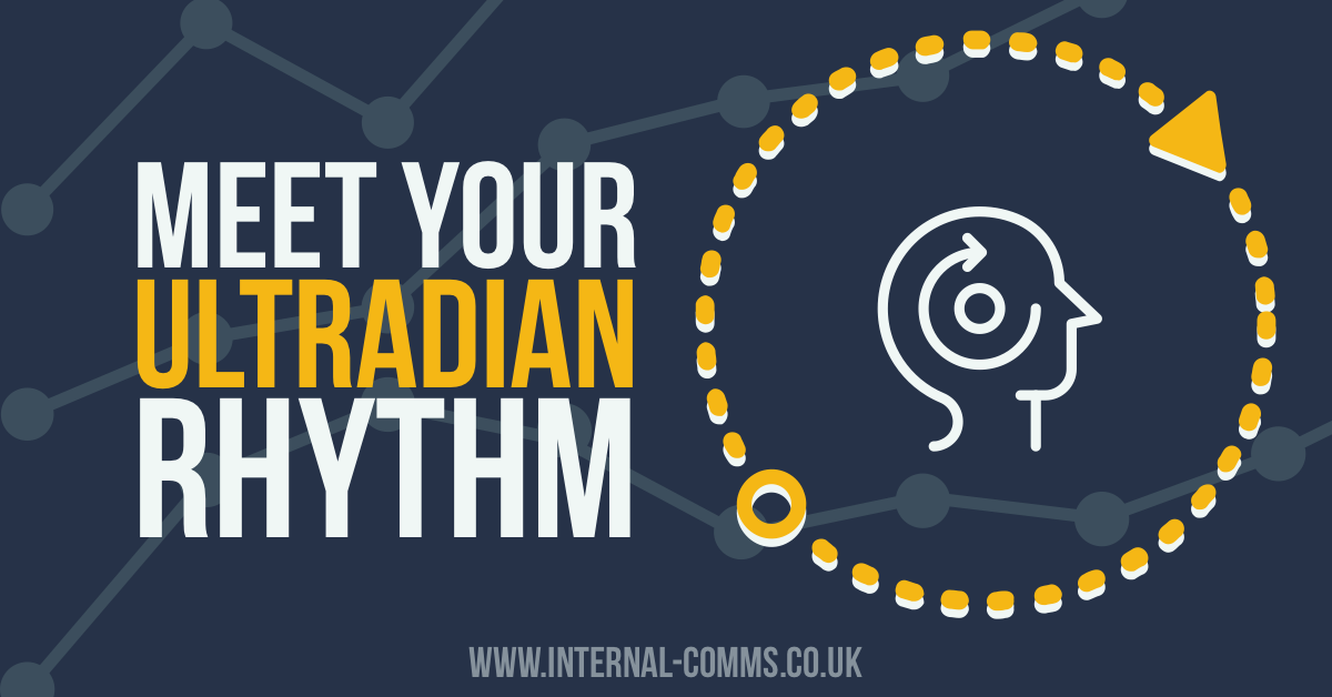 Meet your ultradian rhythm